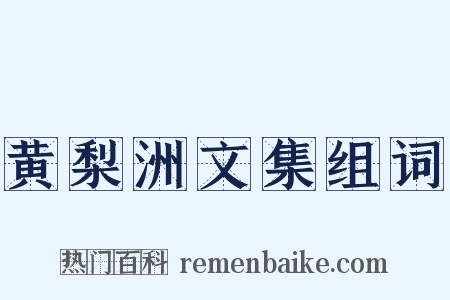 黄梨洲文集组词是什么意思的图片